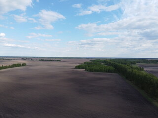 Forest belt along a plowed field, aerial view. Cloudy sky over farm fields. Beautiful landscape.