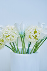 white flowers on a white background.