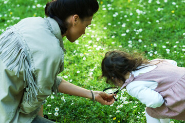 Mother and daughter with a magnifier are exploring a chamomile field