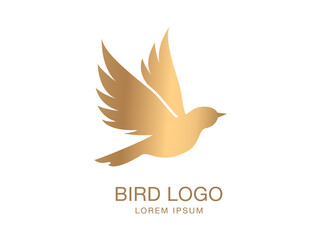 Gold bird logo. Vector bird logo. Bird icon. 