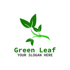 green leaf logo