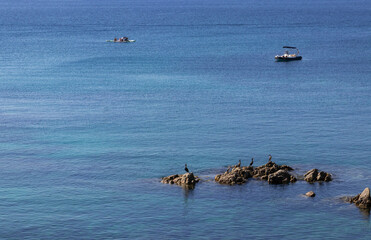 landscape in the coast in the north of spain