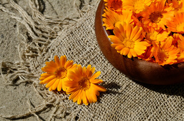 Two orange calendula flower and a marigold in a wooden vase on a concrete background and burlap.