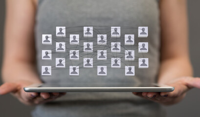 organization chart team concept networking group
