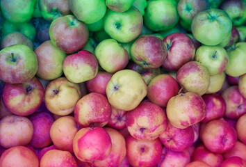 Natural background of red-green apples