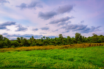 Obraz premium Colour landscape photograph at Machin Fields in Kingston, Ontario Canada during a sunny late summer afternoon.