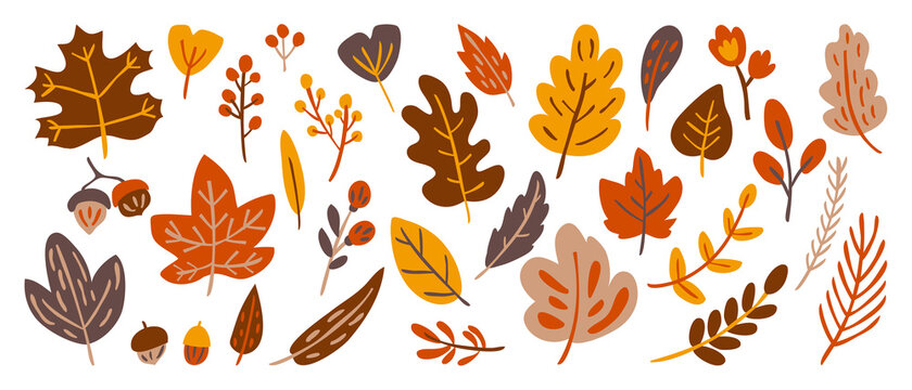 Autumn doodle floral design vector elements. Flower and autumn leaves hand drawn design for cover, Ads, wallpaper and background