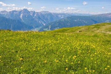 beautiful nature green mountain summer landscape, background with fields, flowers, mountains and blue skies, Copy space of summer vacation and business travel concept.