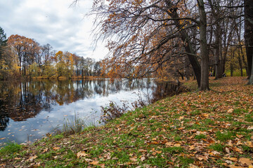 Landscape of autumn park with lake