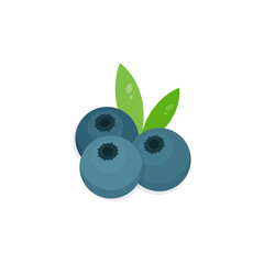 This is a blueberry. Cute berry on white background.