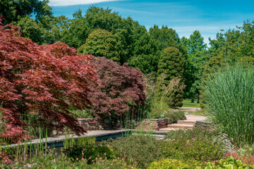 formal rectangular walled garden with a pond and red acer