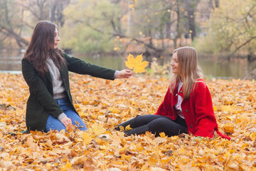 Two girls collect maple leaves in the autumn park