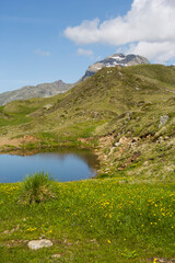 Fototapeta na wymiar A view of a mountain alpine lake on a summer day. Lake with hills, water and blue sky with clouds. Green forest by the lake in reflection in the water beauty in nature