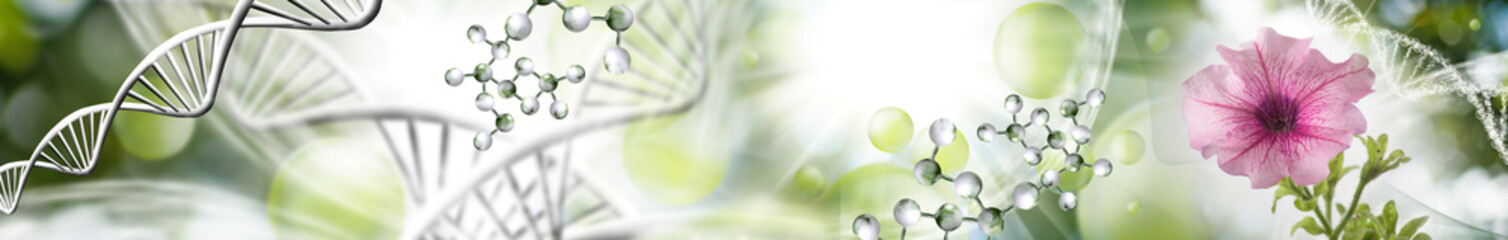 Naklejka premium Image of stylized DNA strands and a flower