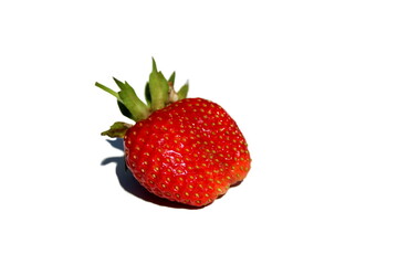 Juicy Red strawberries on a White plate in direct sunlight