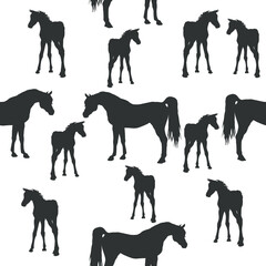 seamless background of figures of Arabian horses, a Mare with a foal and a stallion on a white background
