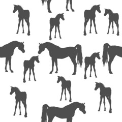 seamless background of figures of Arabian horses, a Mare with a foal and a stallion on a white background