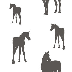 seamless background of figures of Arabian horses, a Mare with a foal and a stallion on a white background