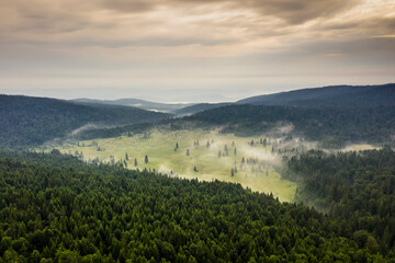 Naklejka premium Aerial view at mountain forest on a summer day