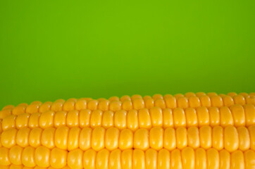 Fresh corn cob on green background top view. Organic product concept.