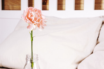 Pink carnation in a glass vase on the bed