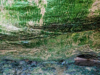 green rocks