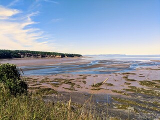 beach in the morning