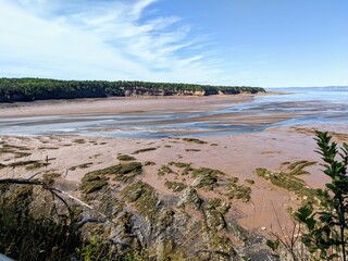 beach in the morning