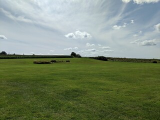 Fototapeta premium green field and blue sky