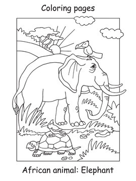 Coloring elephant vector