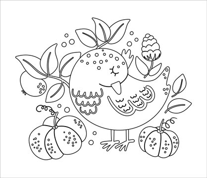Cute black and white composition with sleeping bird and pumpkins. Vector autumn outline print design isolated on white background. Fall season linear art woodland animal .