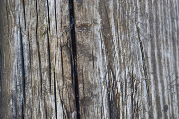 Texture, old dry weathered wood burned out in the sun for several years.