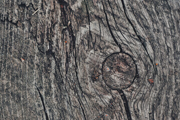 Texture, old dry weathered wood burned out in the sun for several years.