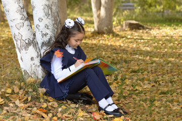 A schoolgirl with a book sits under a birch tree in an autumn forest. Elementary school student in the school park. A girl in a blue school uniform in an autumn park writes a red pen in a notebook.