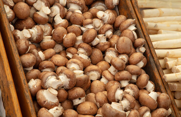 Brown champignon edible mushrooms at retail