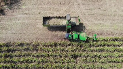 Aerial view of the Sugar cane harvesting 