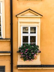Obraz na płótnie Canvas window with flowers