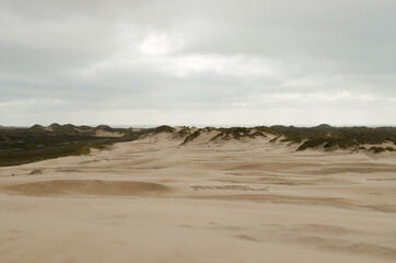 Fototapeta na wymiar Sand dunes in Skagen, Denmark