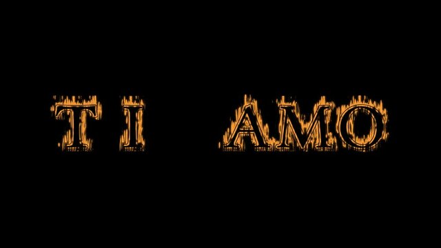 Ti amo fire text effect black background. animated text effect with high visual impact. letter and text effect. translation of the text is I Love You