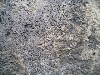 Background of stone chips. Pattern of light gray stone. The texture of the stone. 