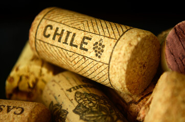 detalle de corcho vino tino chileno, corcho de vino chileno, vino tinto, corcho de botella de vino
