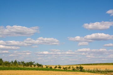 Fototapeta na wymiar Field against the blue sky.