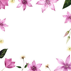 Fototapeta na wymiar Frame with flowers clematis on white background. Waterclolor illustration.