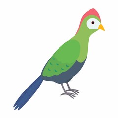 Green turaco bird. Vector illustration isolated on white background.