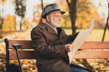 Profile side photo of serious old man english gentleman have park morning free time autumn walk sit...