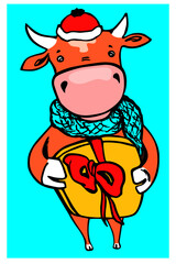 Cheerful cow as symbol of 2021 with a present packed in a gift box. Greeting card template for celebration of Christmas and New Year 2021