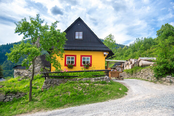 Fototapeta na wymiar Traditional village in Slovakia - Vlkolinec. Cultural heritage. UNESCO