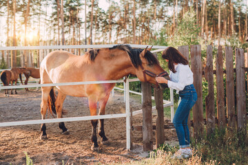 Professional horse riders riding horses slow motion. Women in helmets horseman. Summer activity,...