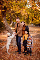 Fototapeta premium family with Retriever walking in autumn Park.