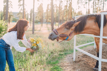 Professional horse riders riding horses slow motion. Women in helmets horseman. Summer activity,...